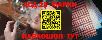 Альфа ПВП Малгобек