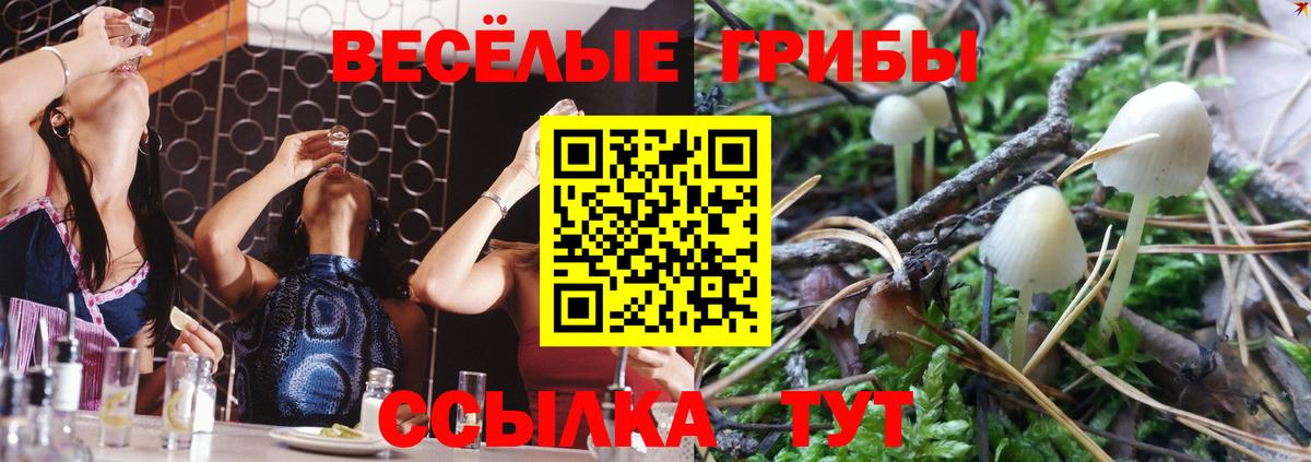 Вышний Волочёк  Псилоцибиновые грибы Magic Shrooms  Вход с VPN 